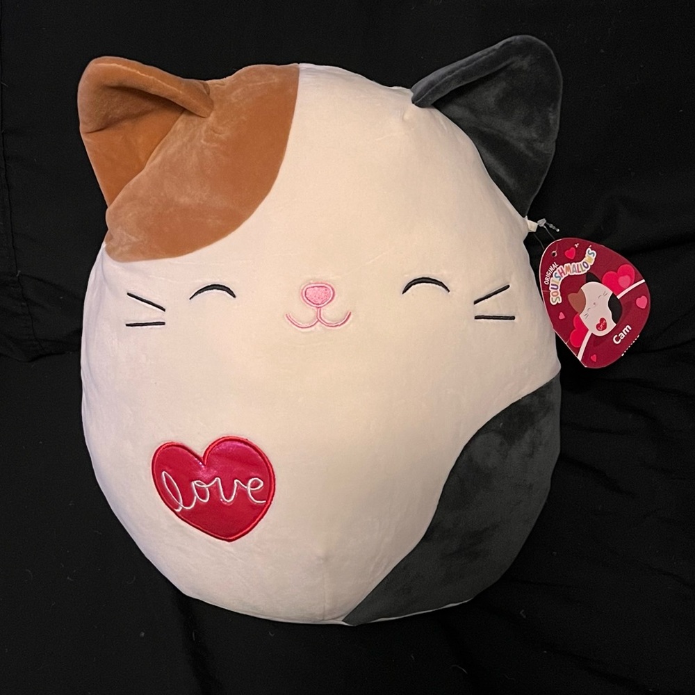 Valentines Cam 12” Squishmallow